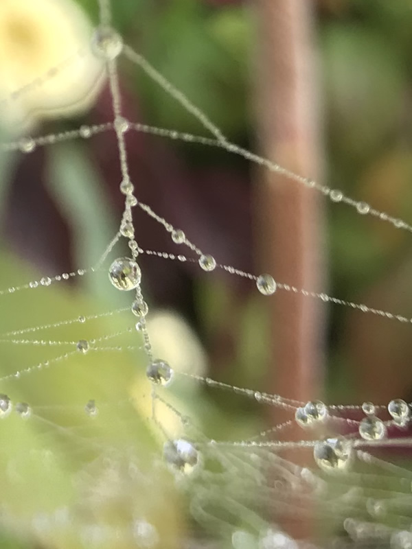 Summer Fun by Nancy MacKay